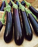 Photo CEMEHA SEEDS - Eggplant Aubergin Black Long Pop Thai Non GMO Vegetable for Planting, best price $6.95 ($0.23 / Count), bestseller 2024