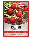 Photo Radish Seeds for Planting - Cherry Belle Variety Heirloom, Non-GMO Vegetable Seed - 2 Grams of Seeds Great for Outdoor Spring, Winter and Fall Gardening by Gardeners Basics, best price $4.95, bestseller 2024