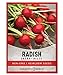 Radish Seeds for Planting - Cherry Belle Variety Heirloom, Non-GMO Vegetable Seed - 2 Grams of Seeds Great for Outdoor Spring, Winter and Fall Gardening by Gardeners Basics new 2024