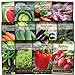 Sow Right Seeds - Classic Vegetable Garden Seed Collection for Planting - Non-GMO Heirloom Beets, Cabbage, Carrot, Cucumber, Eggplant, Kale, Lettuce, Tomato, Peppers, Radish, Watermelon, and Zucchini new 2024