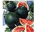 Watermelon, Black Diamond, Heirloom, 25 Seeds, Super Sweet Round Melon new 2024