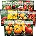 Sow Right Seeds - Tomato Seed Collection for Planting - 10 Varieties with Many Sizes, Shapes, and Colors - Non-GMO Heirloom Packets with Instructions for Growing a Home Vegetable Garden - Great Gift new 2024