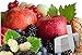 Fruit Combo Pack Raspberry, BlackBerry, Blueberry, Strawberry, Apple, Mulberry 575+ Seeds UPC 695928808755 & 4 Free Plant Markers new 2024