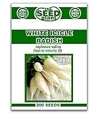 Photo White Icicle Radish Seeds - 200 Seed Non-GMO, best price $1.59 ($0.01 / Count), bestseller 2024