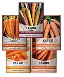 Photo Carrot Seeds for Planting Home Garden - 5 Variety Pack Rainbow, Imperator 58, Scarlet Nantes, Bambino and Royal Chantenay Great for Spring, Summer, Fall, Heirloom Carrot Seeds by Gardeners Basics, best price $10.95, bestseller 2024