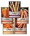 Carrot Seeds for Planting Home Garden - 5 Variety Pack Rainbow, Imperator 58, Scarlet Nantes, Bambino and Royal Chantenay Great for Spring, Summer, Fall, Heirloom Carrot Seeds by Gardeners Basics new 2024