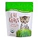 Organic Cat Grass Seed Blend for Planting by Handy Pantry - A Healthy Mix of Organic Wheatgrass Seeds: Barley, Oats, and Rye Seeds - Non-GMO Wheat Grass Seeds for Pets - Cat Grass Kit Refill (12 oz.) new 2024