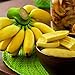 Benoon Bananensamen, 1 Beutel Bananensamen Süße Samen Mit Hoher Keimrate Frische Pflanzensamen Für Den Balkon Bananen neu 2024