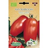 Foto Bio Tomate San Marzano, bester Preis 3,99 €, Bestseller 2024