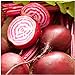 Seed Needs, Chioggia Beets (Beta vulgaris) Bulk Package of 2,000 Seeds Non-GMO new 2024