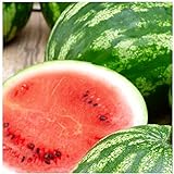 Photo 25 Cal Sweet Watermelon Seeds | Non-GMO | Heirloom | Instant Latch Garden Seeds, best price $5.95, bestseller 2024
