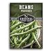 Survival Garden Seeds - Provider Bush Bean Seed for Planting - Packet with Instructions to Plant and Grow Stringless Green Beans in Your Home Vegetable Garden - Non-GMO Heirloom Variety new 2024