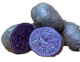 Photo Purple Majesty Seed Potato 6 Tubers - Heirloom - Great Taste!, best price $16.57, bestseller 2024
