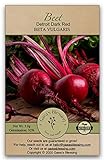 Photo Gaea's Blessing Seeds - Beet Seeds - Detroit Dark Red Non-GMO Seeds with Easy to Follow Planting Instructions - Heirloom 92% Germination Rate 3.0g, best price $4.99, bestseller 2024