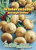 Foto N.L. Chrestensen 433311 Zwiebel Senshyu Yellow Winterzwiebeln (Zwiebelsamen), bester Preis 3,53 €, Bestseller 2024