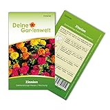 Foto Zinnien Dahlienblütige Riesen, Mischung Samen - Zinnia elegans - Zinniensamen - Blumensamen - Saatgut für 70 Pflanzen, bester Preis 1,99 € (0,03 € / stück), Bestseller 2024