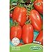 Germisem Roma Semillas de Tomate 1 g, EC8011 nuevo 2024