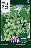 Foto Mexikanische Minigurken Samen - Nelson Garden Gemüsesamen - Snackgurken Samen Saatgut (10 Stück) (Gurke, Mini, Einzelpackung), bester Preis 4,45 €, Bestseller 2024