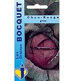 Photo Sachet de graines de Chou rouge gros - 3 g - légume feuille - LES GRAINES BOCQUET, meilleur prix 3,99 € (1 330,00 € / kg), best-seller 2024