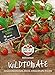 83235 Sperli Premium Tomatensamen Red Currant | Buschtomaten Samen | Tomatensamen Resistent | Wildtomaten Samen | Johannisbeertomaten Samen | Wildtomate rote murmel | Alte Tomatensorten neu 2024