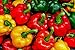 Bell Pepper, California Wonder Pepper Seeds, Heirloom, 25 Seeds, Delicious Large Peppers new 2024