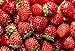 David's Garden Seeds Fruit Strawberry Red Wonder 3117 (Red) 50 Non-GMO, Heirloom Seeds new 2022