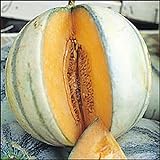 Photo Melon charentais 30 graines Il est un melon européen classique, meilleur prix 4,39 €, best-seller 2024
