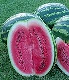 Foto Melone - Wassermelone Crimson Sweet - 10 Samen, bester Preis 1,70 € (1,70 € / count), Bestseller 2024