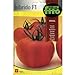 Semillas Fitó Híbridos 4049 - Tomate Crisol nuevo 2024
