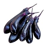 Photo Burpee Millionaire Hybrid Eggplant Seeds 30 seeds, best price $7.27, bestseller 2024