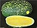 Watermelon seeds - Moon & Stars-Yellow (Citrullus lanatus) Non-GMO Heirloom ! (50 Seeds) new 2024