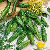 Photo David's Garden Seeds Cucumber Gherkin Parisian 3348 (Green) 50 Non-GMO, Hybrid Seeds, best price $4.45, bestseller 2024