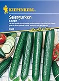 Foto Sperli Gemüsesamen Gurken Saladin, F1, grün, bester Preis 3,34 €, Bestseller 2024