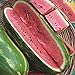 Jubilee Sweet Watermelon Seeds, 75 Heirloom Seeds Per Packet, Non GMO Seeds new 2024