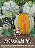 Foto 81540 Sperli Premium Zuckermelone Samen Artemis | Reichtragend | Melonen Samen | Honigmelone Samen | Samen Melone | Mini Melonen Pflanze | Mini Melonen Samen | Melonen Samen Freiland, bester Preis 6,77 €, Bestseller 2024