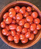Photo Burpee Napa Grape Tomato Seeds 30 seeds, best price $8.49 ($0.28 / Count), bestseller 2024