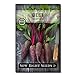 Sow Right Seeds - Cylindra Beet Seed for Planting - Non-GMO Heirloom Packet with Instructions to Plant a Home Vegetable Garden - Great Gardening Gift (1) new 2022