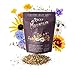 Package of 80,000 Wildflower Seeds - Rocky Mountain Wildflower Mix Seeds Collection - 18 Assorted Varieties of Non-GMO Heirloom Flower Seeds for Planting Including Larkspur, Poppy, Columbine, & Daisy new 2024