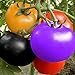 Arcoíris Semillas de Tomate Jardín Orgánico Frutas Semillas de Vegetales Planta Hogar Patio Decoración (100 Piezas) nuevo 2024