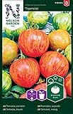 Foto Tomatensamen Tigerella - Nelson Garden Samen für Gemüsegarten - Tomaten Saatgut (36 Stück) (Einzelpackung), bester Preis 3,45 €, Bestseller 2024