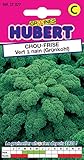 Photo Graines de Chou Frisé 1/2 Nain - Kale - 2 grammes, meilleur prix 3,55 €, best-seller 2024