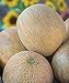 Burpee Ambrosia Cantaloupe Melon Seeds 30 seeds new 2023