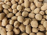 Photo 5 Lbs Yukon Gold Seed Potatoes - USA Non-GMO Certified Potato TUBERS SPUDS, best price $9.99, bestseller 2024