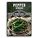 Survival Garden Seeds - Serrano Pepper Seed for Planting - Packet with Instructions to Plant and Grow Spicy Mexican Peppers in Your Home Vegetable Garden - Non-GMO Heirloom Variety new 2024