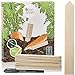 Holzschilder zum Beschriften: Premium Holz Pflanzenstecker im Set mit 60x Pflanzschilder und Stift – Schöne Pflanzenschilder zum Beschriften wetterfest – Holz Schilder zum Beschriften von OwnGrown neu 2023