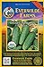 Everwilde Farms - 50 Organic Homemade Pickles Pickling Cucumber Seeds - Gold Vault Packet new 2024