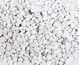 Foto Ruiuzioong Kieselsteine 2 Pfund polierter Kies, natürliche polierte gemischte Farbsteine, kleine dekorative Flussgesteinsteine (White-1.5KG), bester Preis 14,99 €, Bestseller 2024