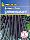 Foto Bohne Blauhilde / Stangenbohnen, bester Preis 3,99 €, Bestseller 2024