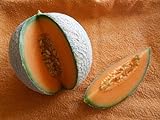Foto Melone Charentais 5 Samen -Neue Züchtung aus Cantaloupe/Zuckermelone Sehr sehr Süß, bester Preis 1,98 €, Bestseller 2024