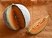 Melone Charentais 5 Samen -Neue Züchtung aus Cantaloupe/Zuckermelone Sehr sehr Süß neu 2024